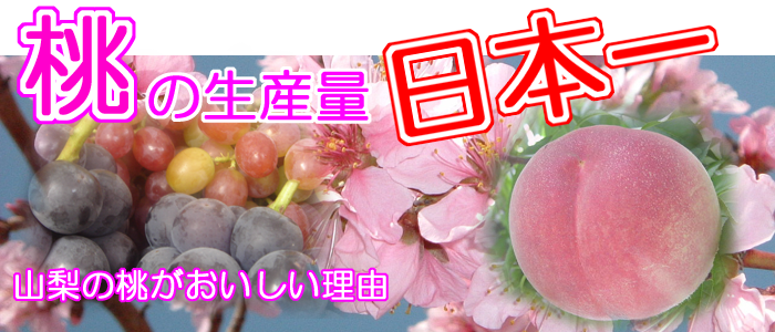 桃の生産量日本一